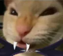 pumpNyehehe