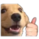 thumbsupdawg