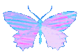 rd_ButterFly