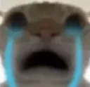 zy_crycat