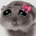 CryHamster