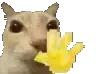 otaghi