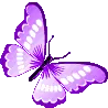 Arziyaan_butterfly