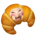 Quason
