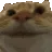 cat_yes_nod