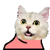 funnydance