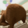 050wiggle