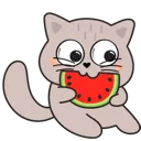 catwater