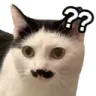 huh