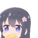 No_touch