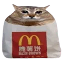 Hashcat