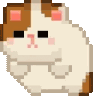 RAPIDCAT
