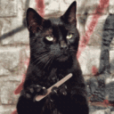 cat23