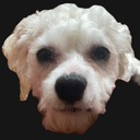 ComicDog Discord emoji