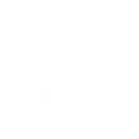 fiveX