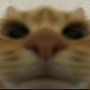 :emoji_12: