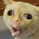 :emoji_13: