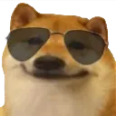 dogeshades