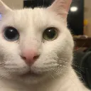 justwhy
