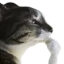 emoji_94 Discord Emoji - Las Patas de Vaporeon