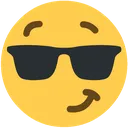 earnest_sunglasses