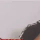 laughleft