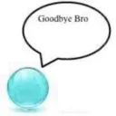 goodbyebro