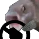 fishsteer