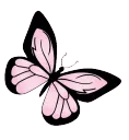 55926butterfly