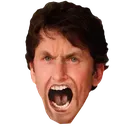 toddmad
