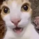 0_