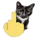 fucatL
