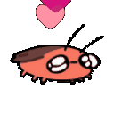 557740lovekawaiiroach