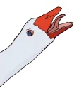gooserage gooserage