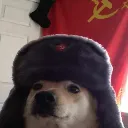 CommieDog