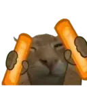 buhRave