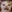 B_BlurrierCat
