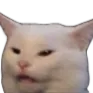 ConfusedCat