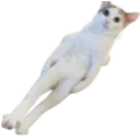 schweetz schweetz