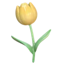 02_tulip