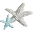04_starfish