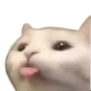 bleh