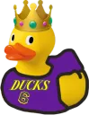 DhillDucks
