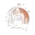 CastleCF
