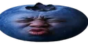 wideSpeedBlueberry