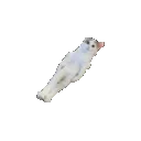 emoji_75