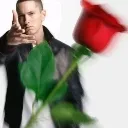 Eminemwrose