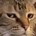 burry_stare