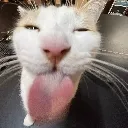 silly