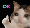 Cryingcat